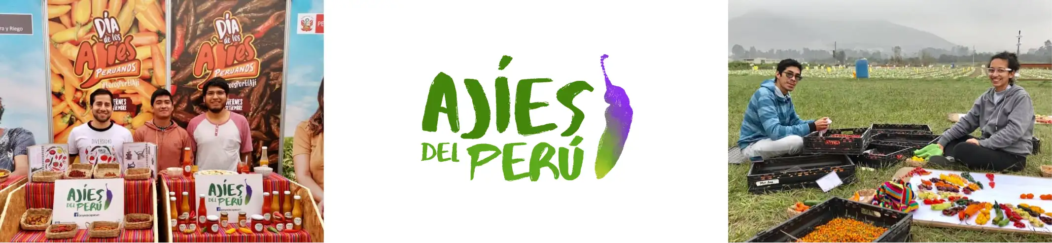 old-logo
